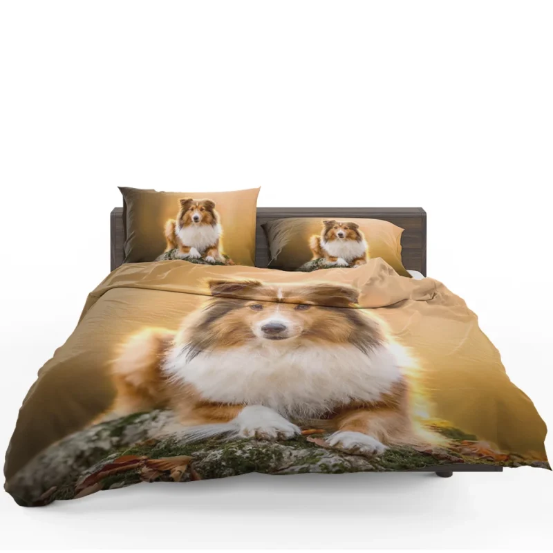 Elegant Shetland Sheepdog Gathering: Quartet Bedding Set