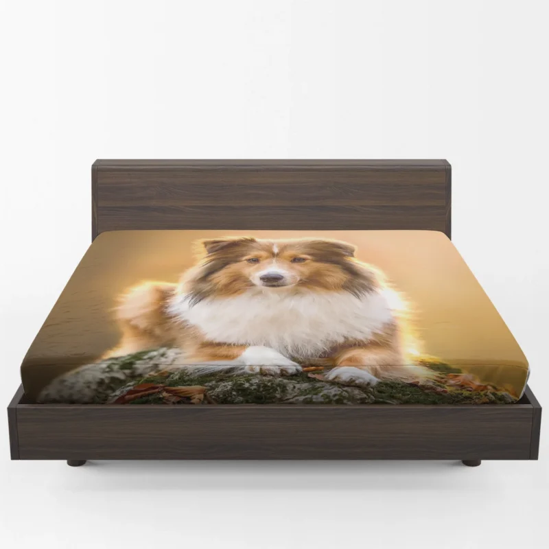 Elegant Shetland Sheepdog Gathering: Quartet Fitted Sheet 1