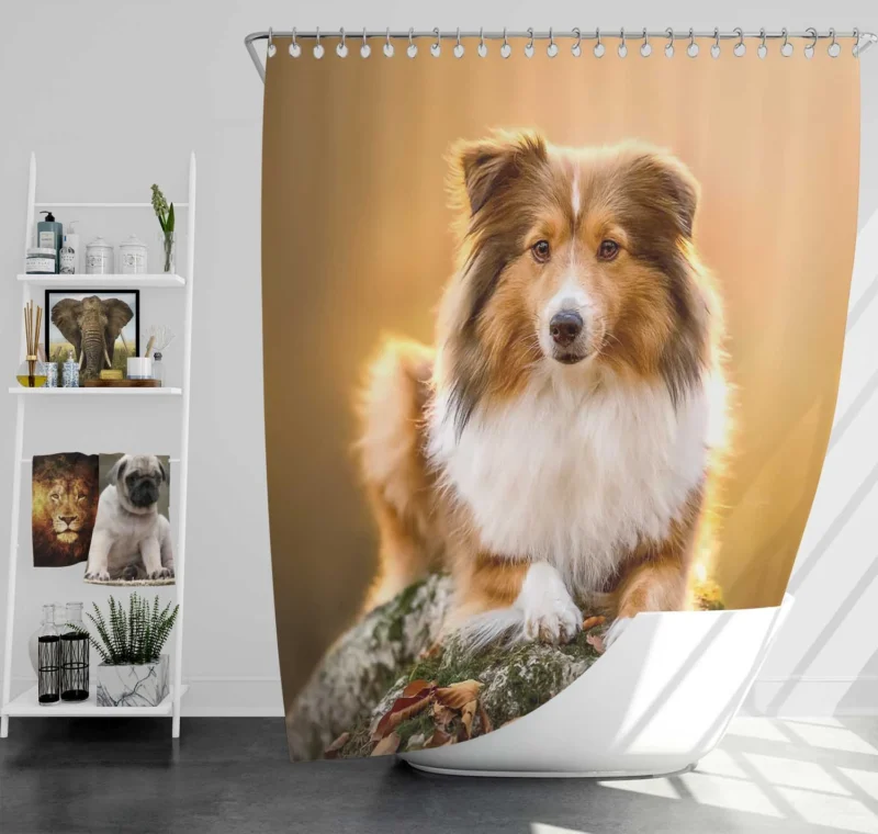 Elegant Shetland Sheepdog Gathering: Quartet Shower Curtain