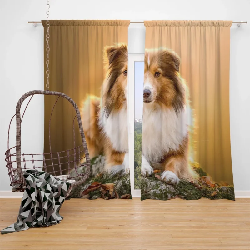 Elegant Shetland Sheepdog Gathering: Quartet Window Curtain