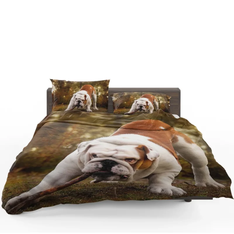 Elegant and Endearing: Bulldog Quartet Bedding Set