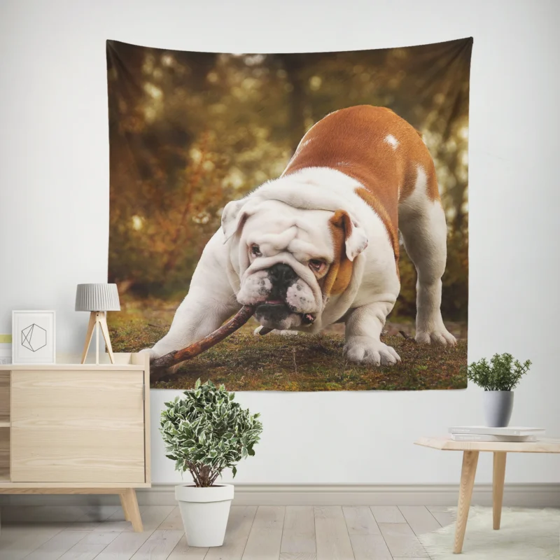 Elegant and Endearing  Bulldog Quartet Wall Tapestry