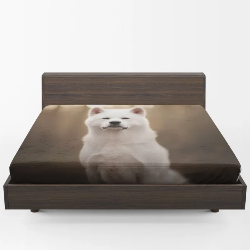 Elegant and Enigmatic: The Akita Quartet Fitted Sheet 1