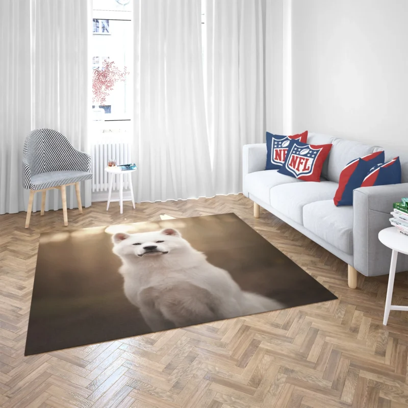 Elegant and Enigmatic: The Akita Quartet Floor Rug 2