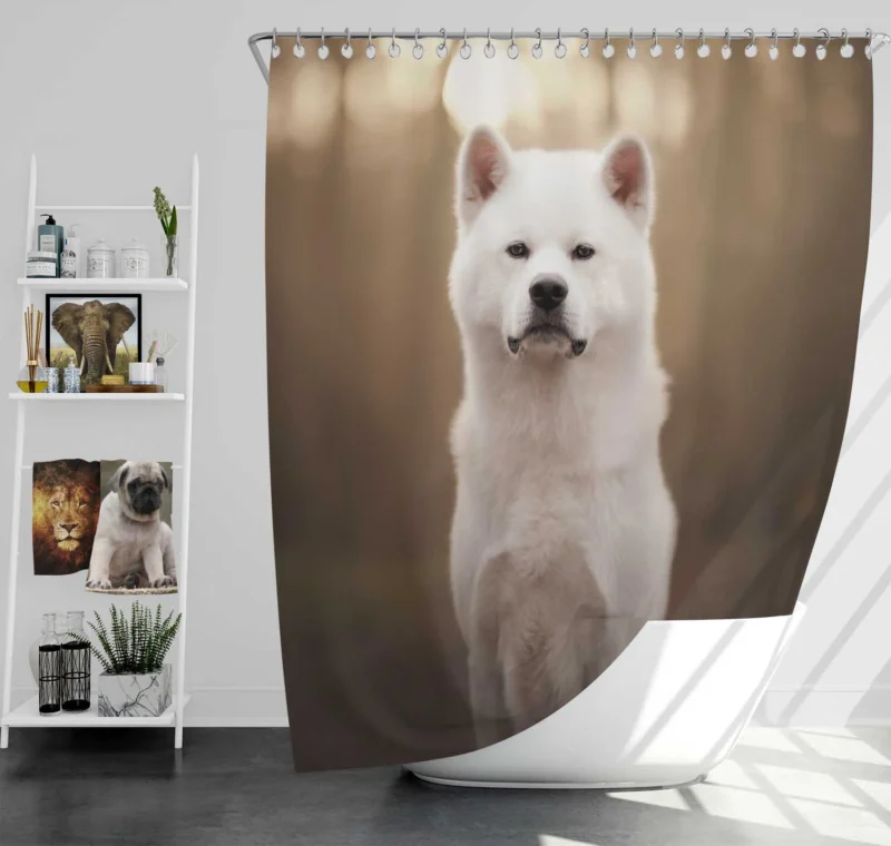 Elegant and Enigmatic: The Akita Quartet Shower Curtain