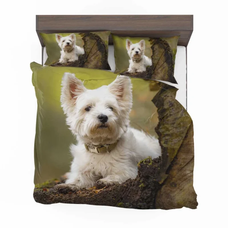 Elegant and White: West Highland White Terrier Quartet Bedding Set 1