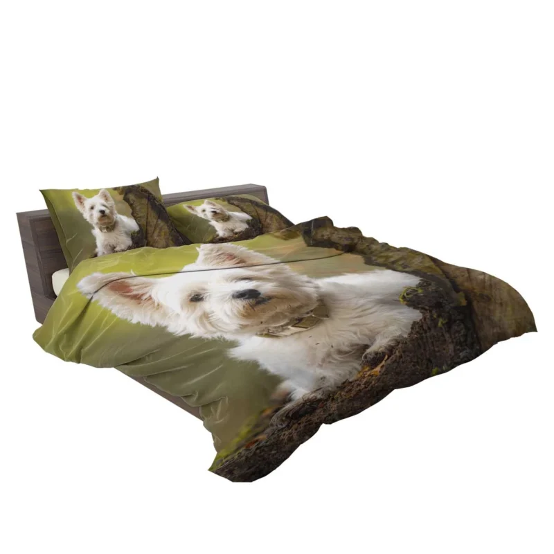 Elegant and White: West Highland White Terrier Quartet Bedding Set 2