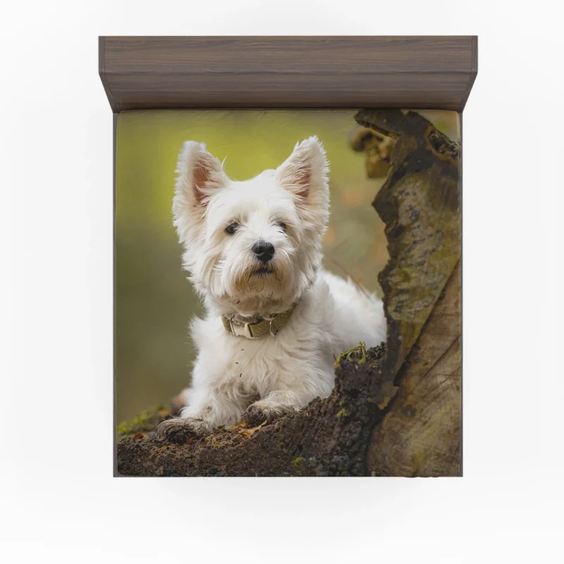 Elegant and White: West Highland White Terrier Quartet Fitted Sheet