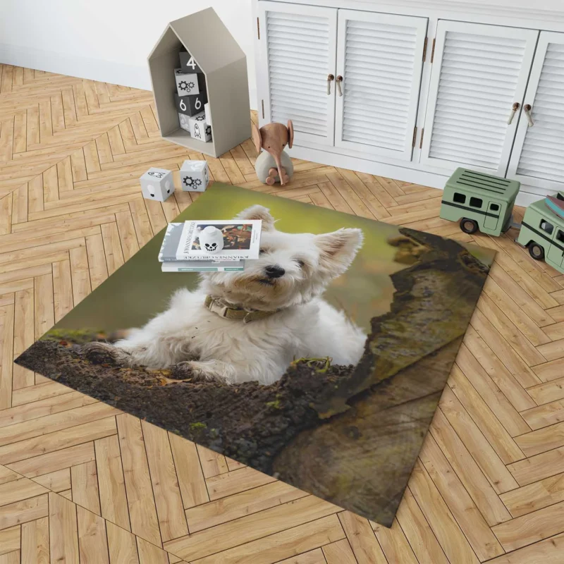 Elegant and White: West Highland White Terrier Quartet Floor Rug 1