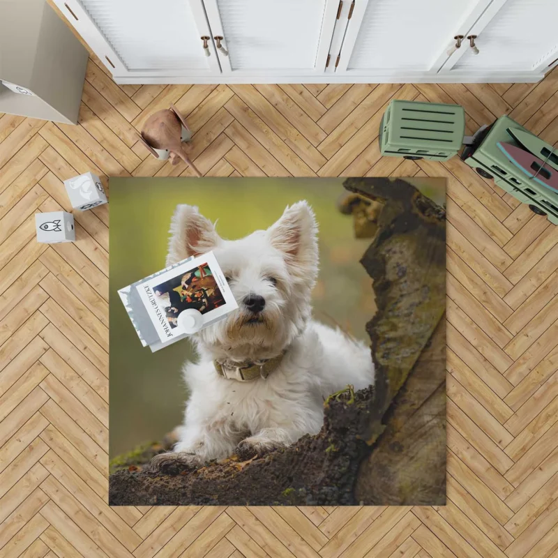 Elegant and White: West Highland White Terrier Quartet Floor Rug