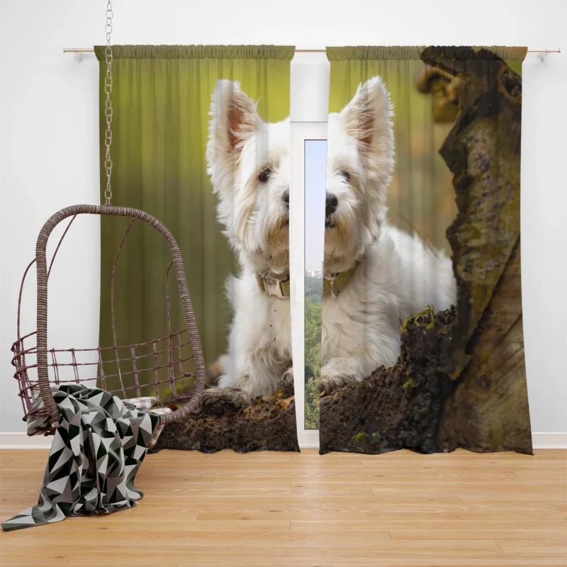 Elegant and White: West Highland White Terrier Quartet Window Curtain