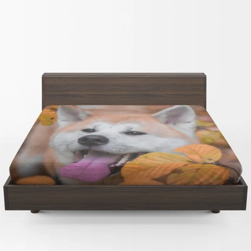 Embracing Fall Colors: The Akita Quartet Fitted Sheet 1