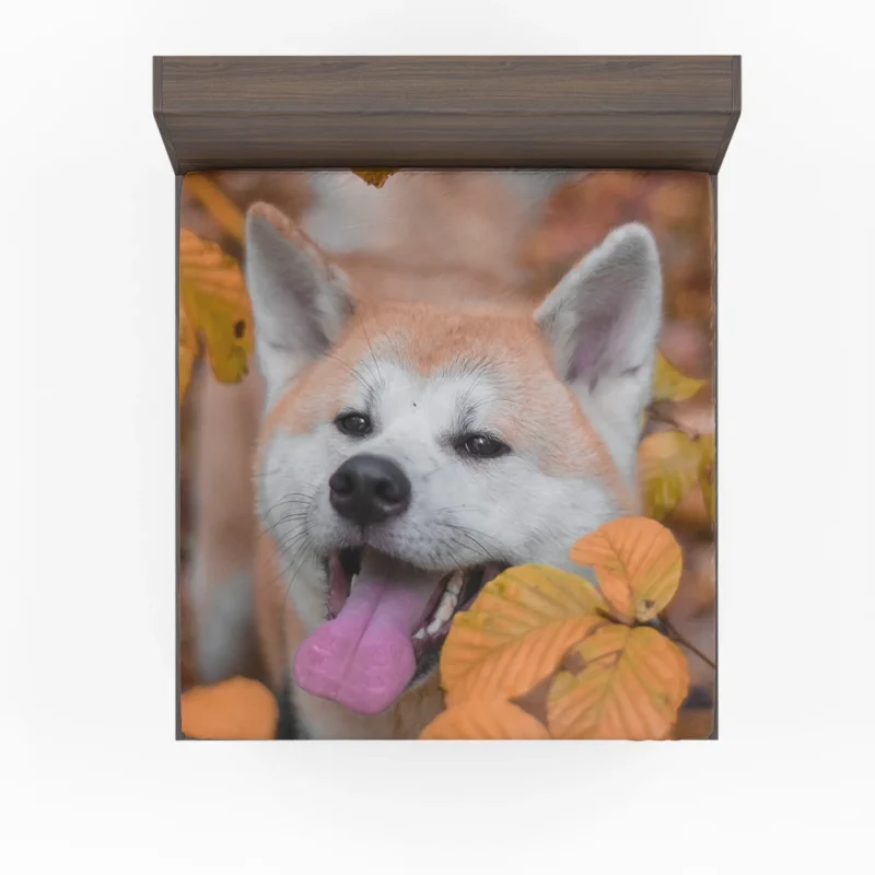 Embracing Fall Colors: The Akita Quartet Fitted Sheet