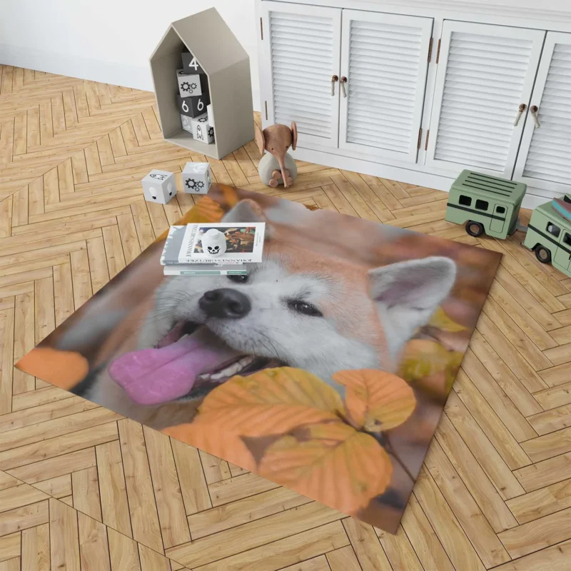 Embracing Fall Colors: The Akita Quartet Floor Rug 1