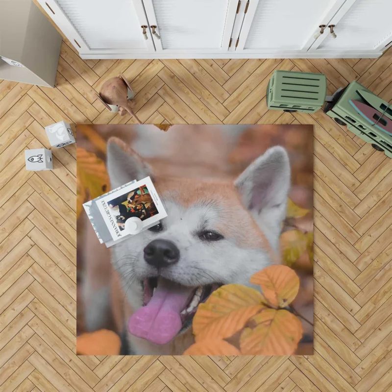 Embracing Fall Colors: The Akita Quartet Floor Rug