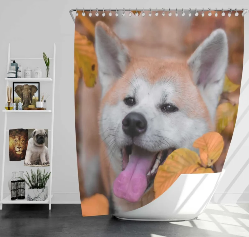 Embracing Fall Colors: The Akita Quartet Shower Curtain