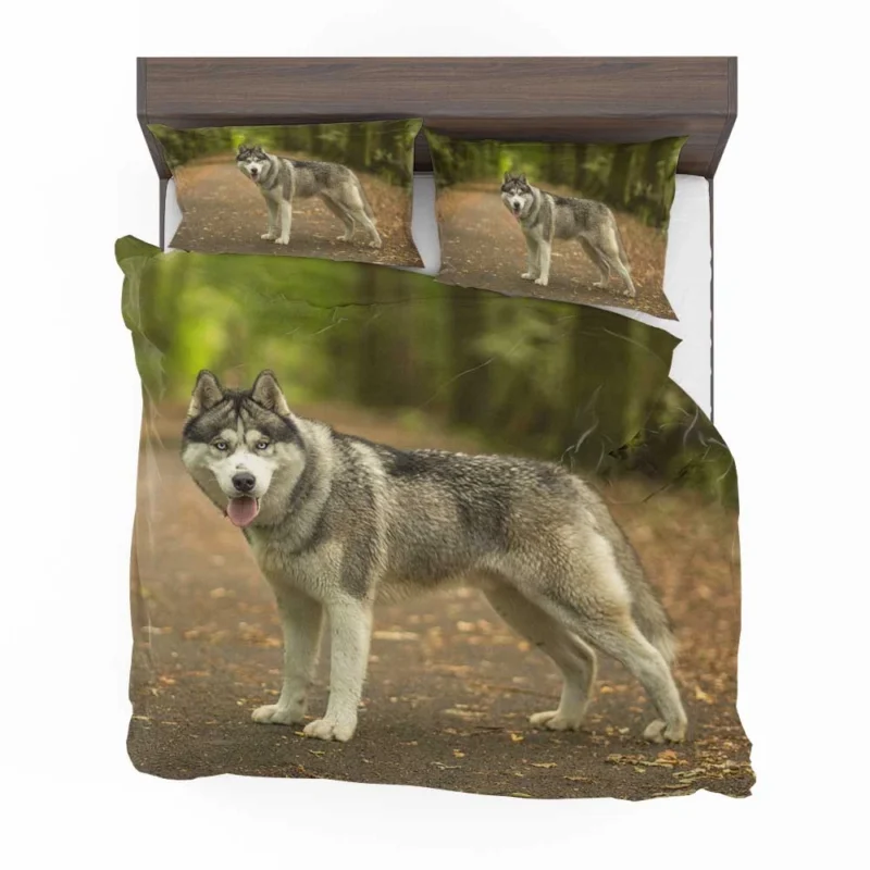 Enchanting Depth: Siberian Husky Quartet Bedding Set 1