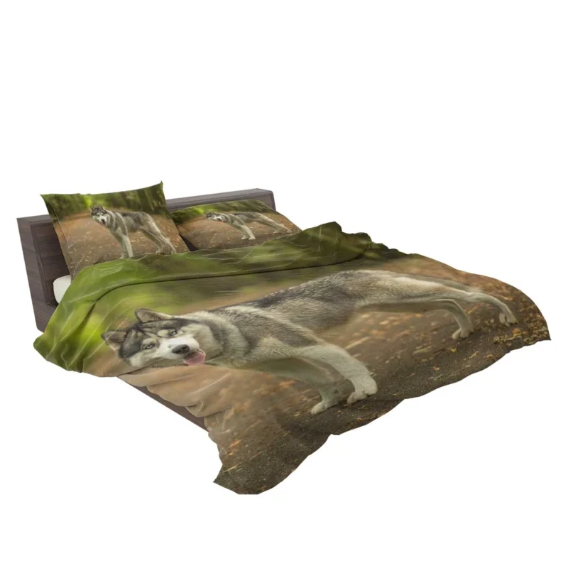 Enchanting Depth: Siberian Husky Quartet Bedding Set 2