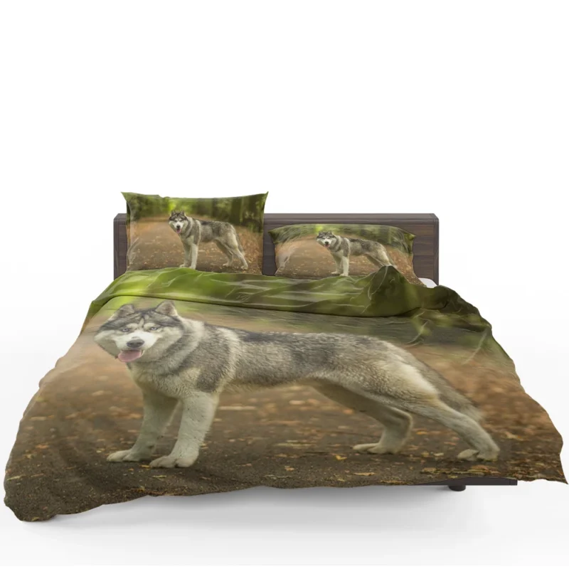 Enchanting Depth: Siberian Husky Quartet Bedding Set