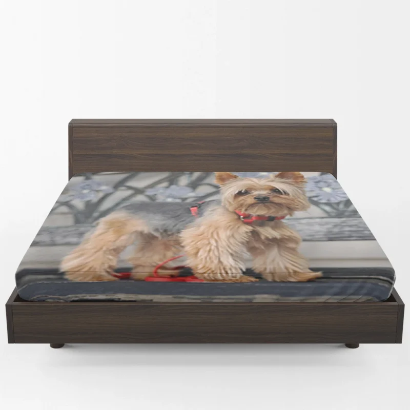 Enchanting Elegance: Silky Terrier Quartet Fitted Sheet 1