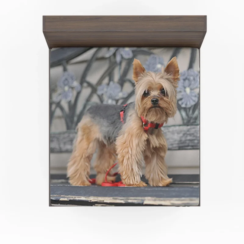 Enchanting Elegance: Silky Terrier Quartet Fitted Sheet