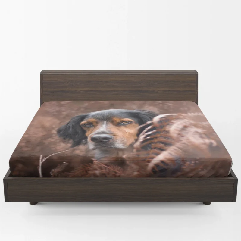 Enchanting Fall Fernscape: Sennenhund Quartet Fitted Sheet 1