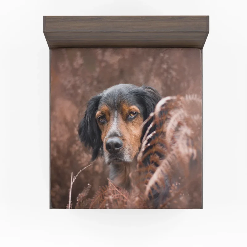 Enchanting Fall Fernscape: Sennenhund Quartet Fitted Sheet