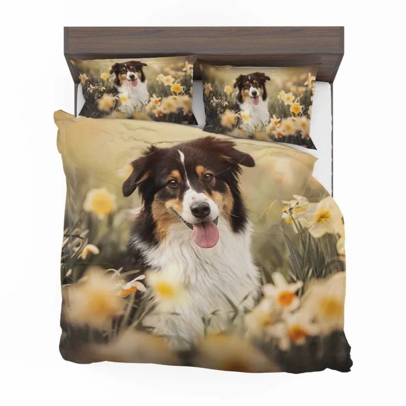 Enchanting Shetland Sheepdog Quartet Bedding Set 1