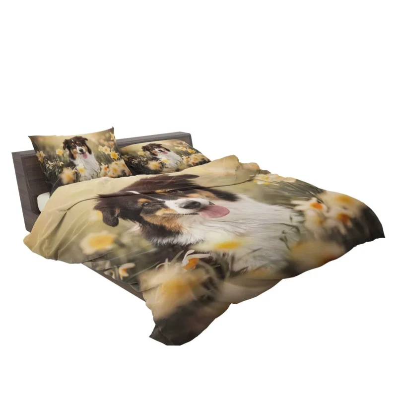 Enchanting Shetland Sheepdog Quartet Bedding Set 2