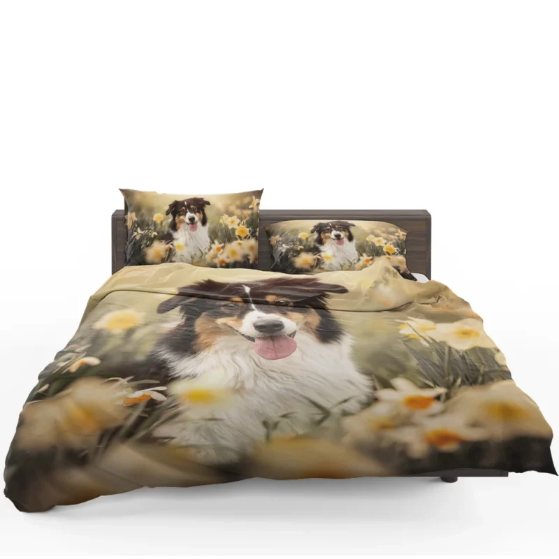 Enchanting Shetland Sheepdog Quartet Bedding Set