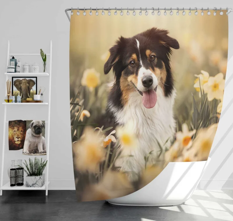 Enchanting Shetland Sheepdog Quartet Shower Curtain