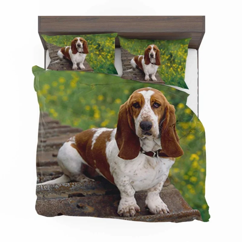 Endearing Ears and Character: Basset Hound Bedding Set 1