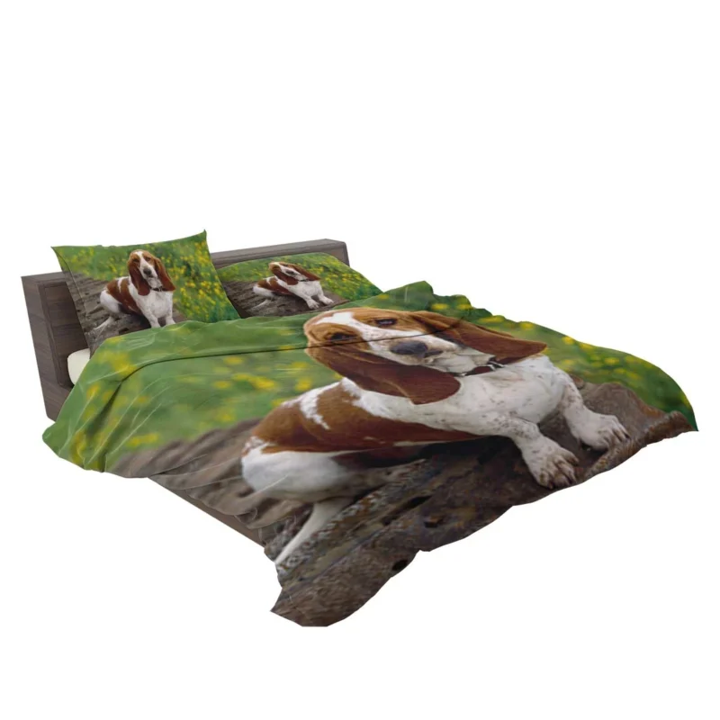 Endearing Ears and Character: Basset Hound Bedding Set 2