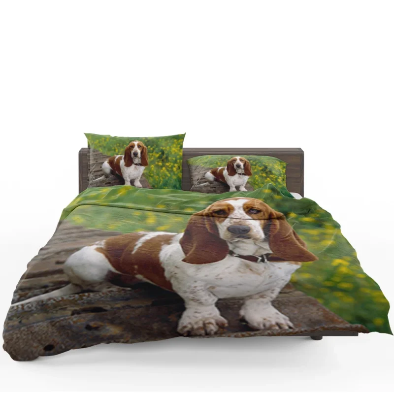 Endearing Ears and Character: Basset Hound Bedding Set