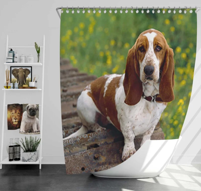 Endearing Ears and Character: Basset Hound Shower Curtain