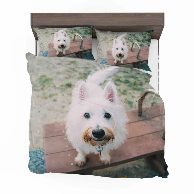 Endearing Fluff: West Highland White Terrier Quartet Bedding Set 1