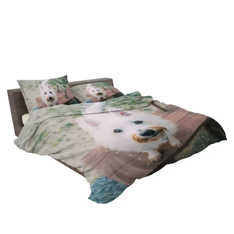 Endearing Fluff: West Highland White Terrier Quartet Bedding Set 2