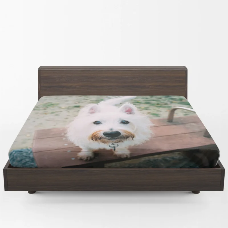 Endearing Fluff: West Highland White Terrier Quartet Fitted Sheet 1