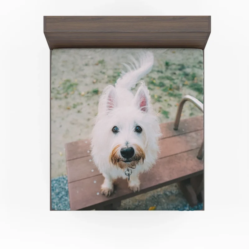 Endearing Fluff: West Highland White Terrier Quartet Fitted Sheet