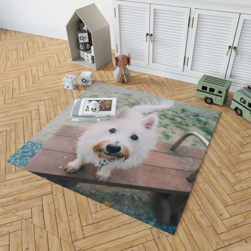 Endearing Fluff: West Highland White Terrier Quartet Floor Rug 1