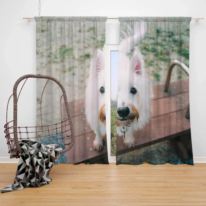 Endearing Fluff: West Highland White Terrier Quartet Window Curtain