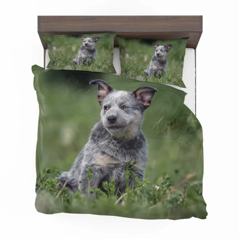 Energetic Australian Cattle Dog Puppies Bedding Set 1