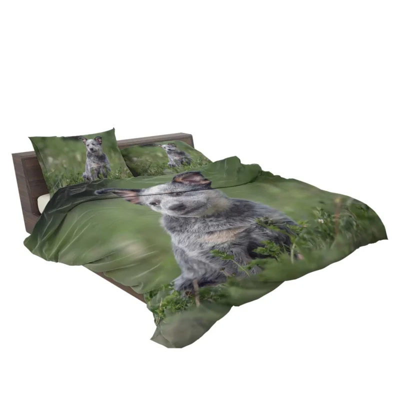 Energetic Australian Cattle Dog Puppies Bedding Set 2