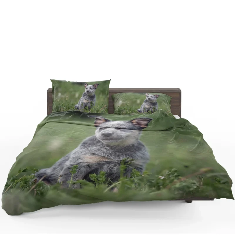 Energetic Australian Cattle Dog Puppies Bedding Set