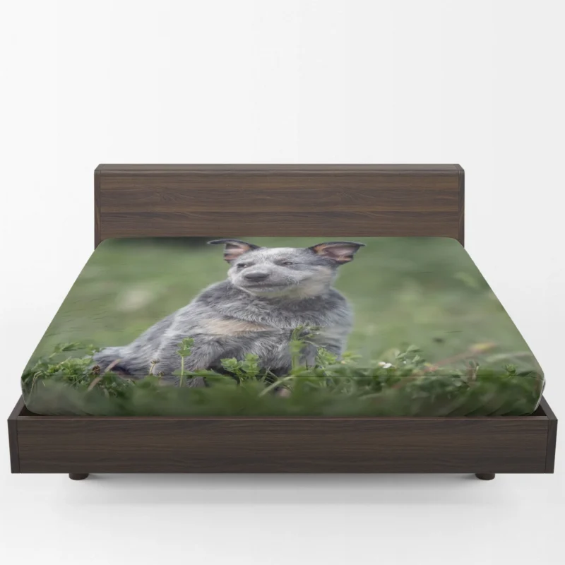 Energetic Australian Cattle Dog Puppies Fitted Sheet 1