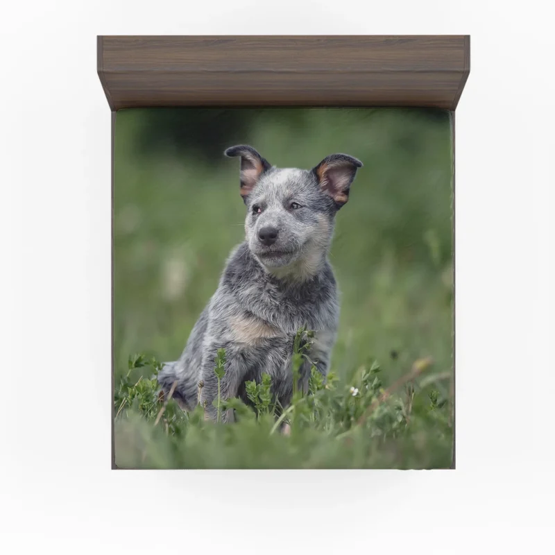 Energetic Australian Cattle Dog Puppies Fitted Sheet