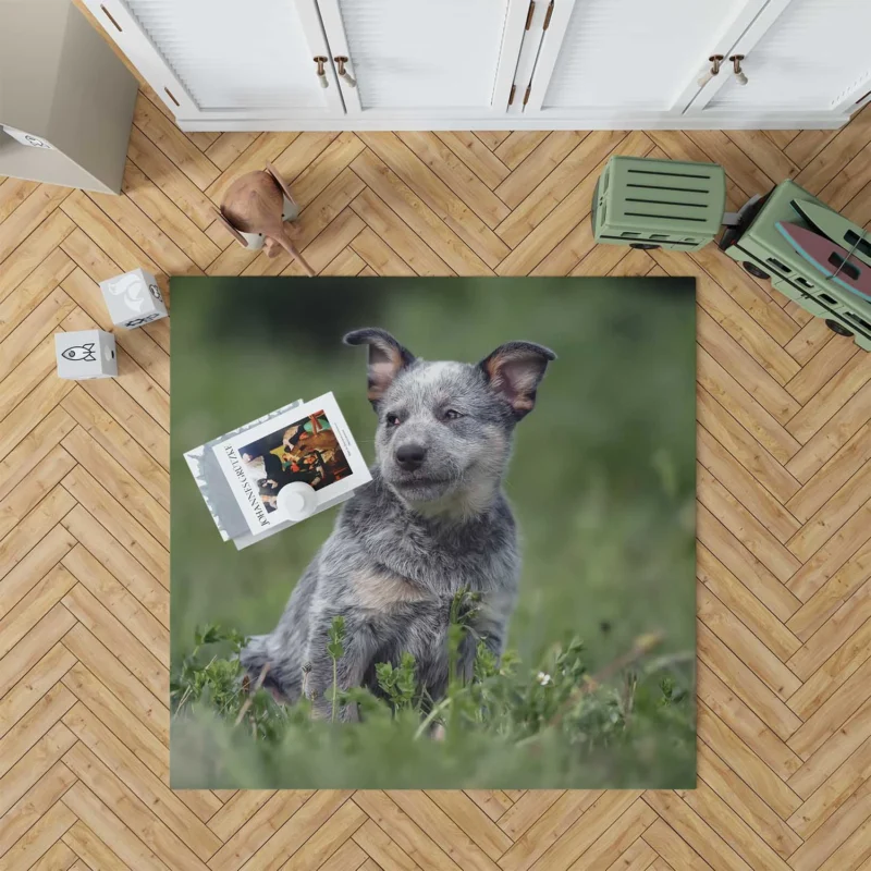 Energetic Australian Cattle Dog Puppies Floor Rug