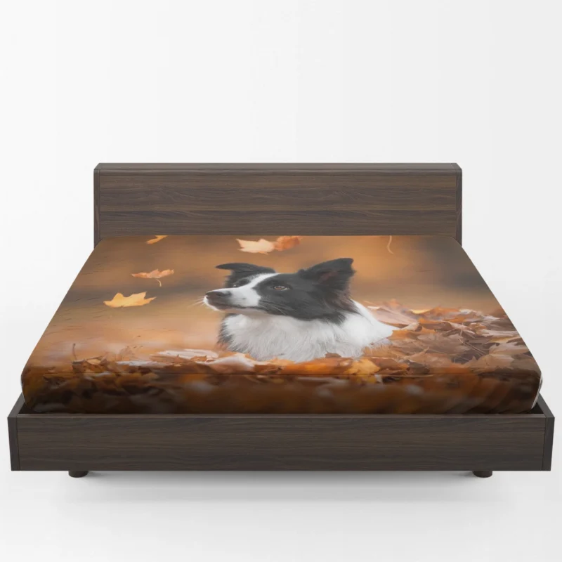 Energetic Border Collie: Border Collie Fitted Sheet 1