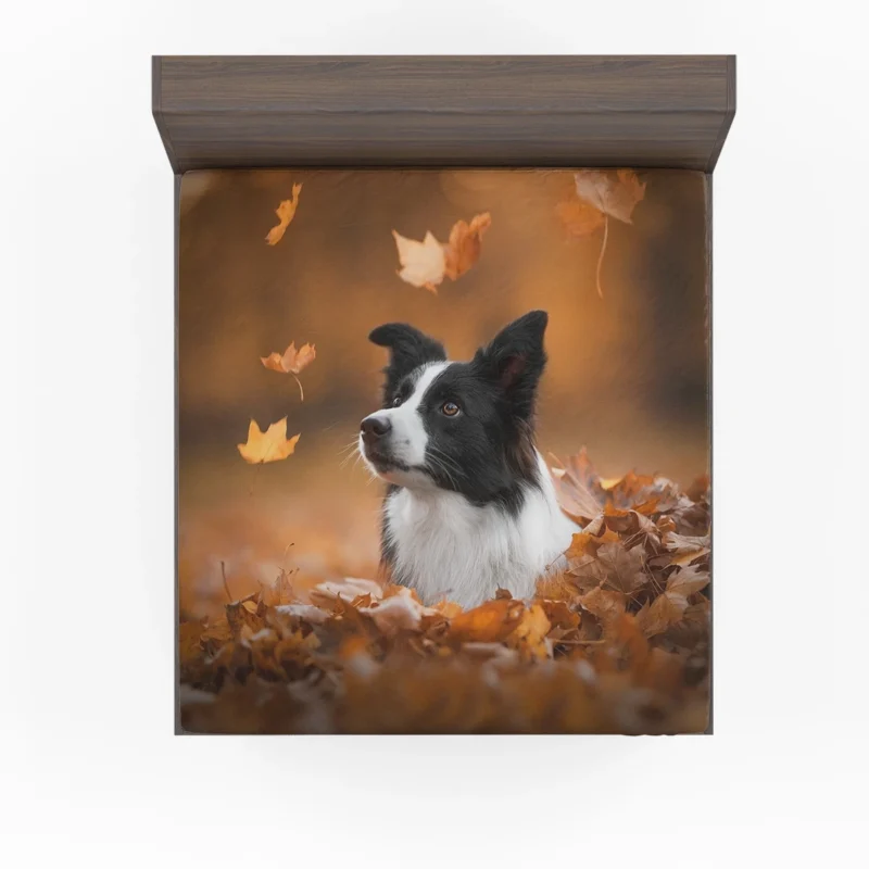 Energetic Border Collie: Border Collie Fitted Sheet