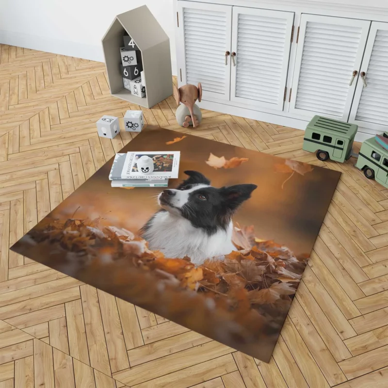 Energetic Border Collie: Border Collie Floor Rug 1